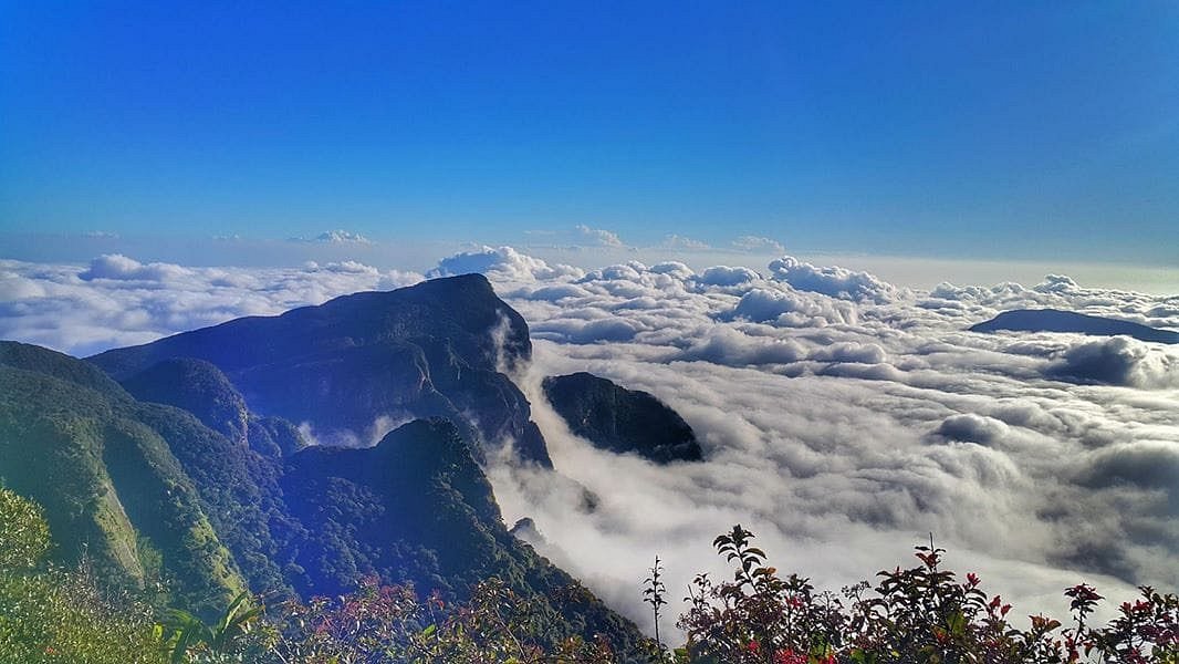 Knuckles Mountain Range